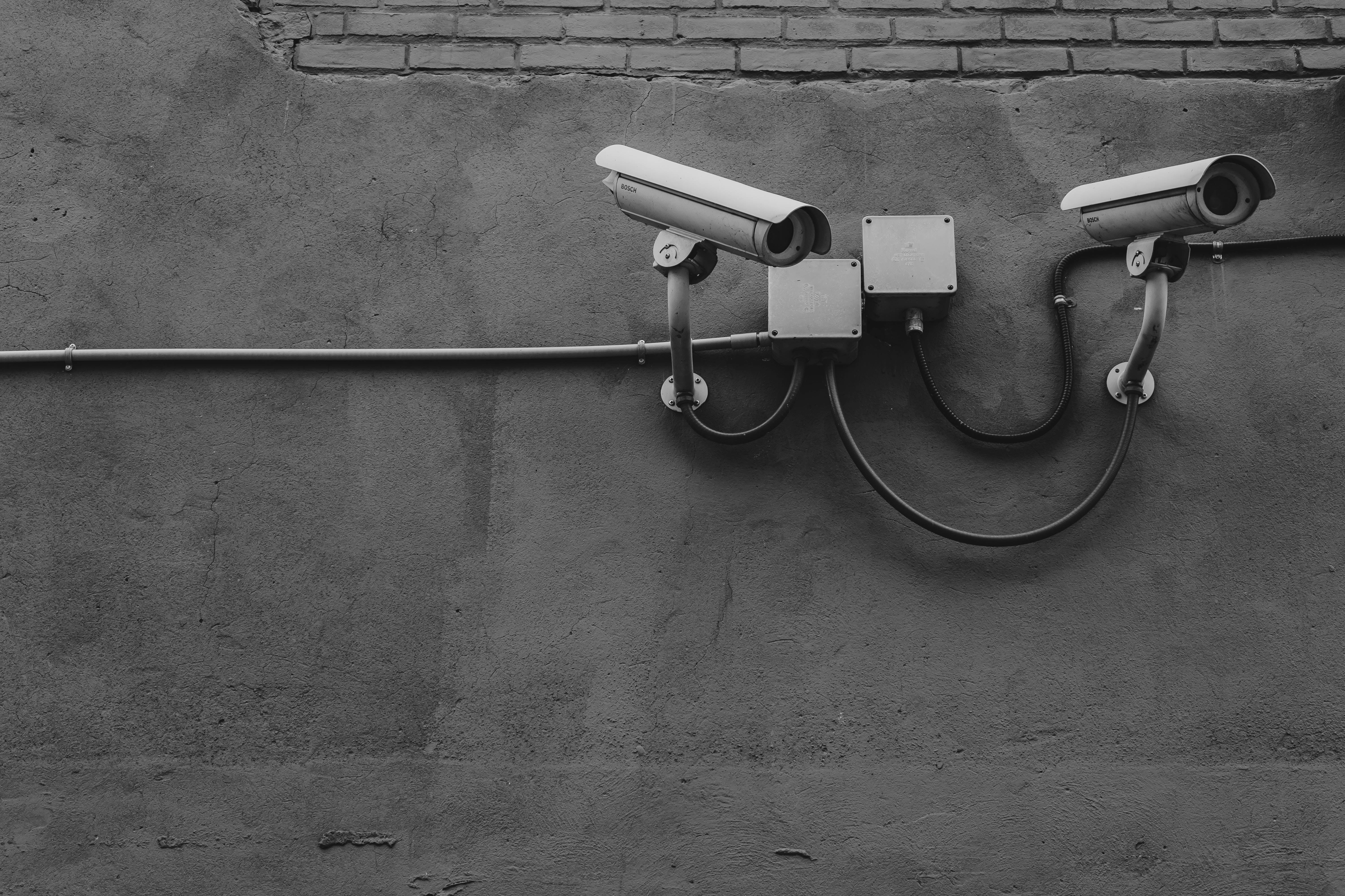 Dark Web Monitoring