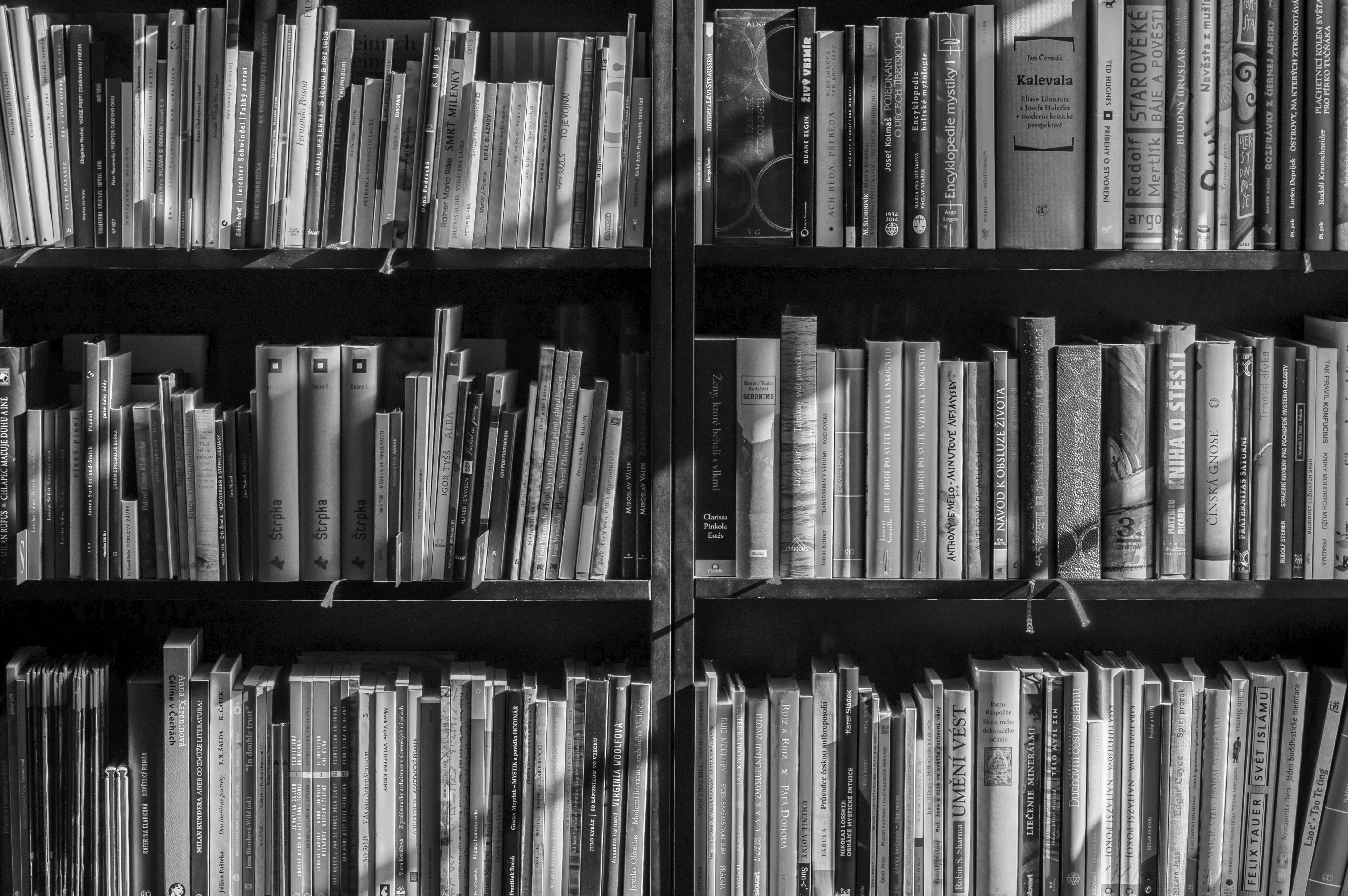 Schulungen und Workshops